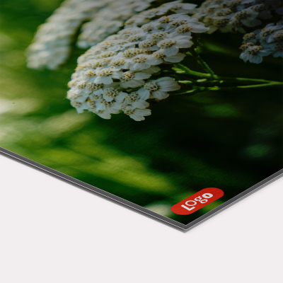 Foto op aluminium