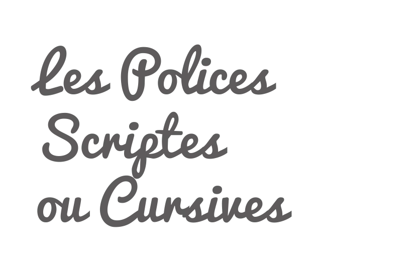 police-scripte