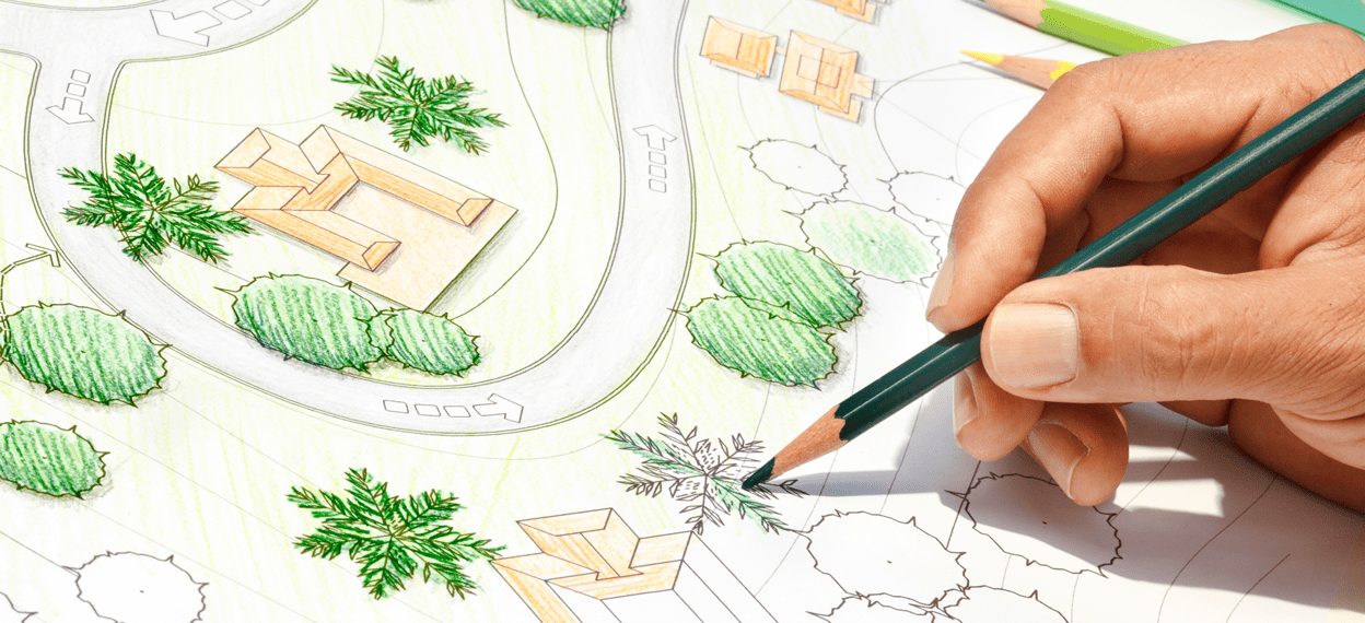 dessin jardin paysagiste
