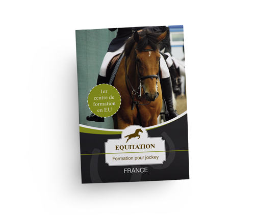 affiche equitation
