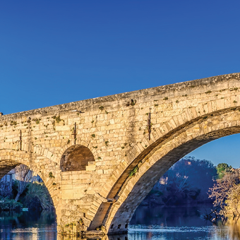 avignon impression