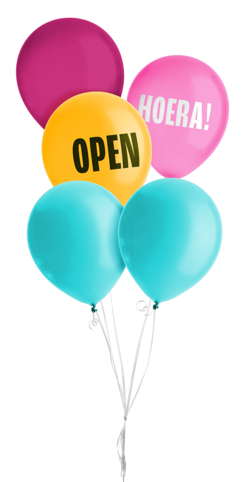 Nieuwe webwinkel van Reclameland is live!