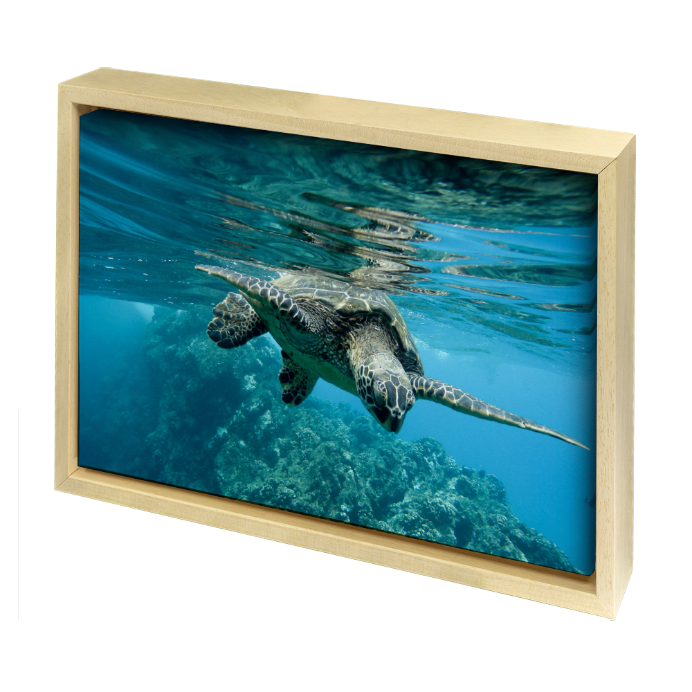 canvas met baklijst