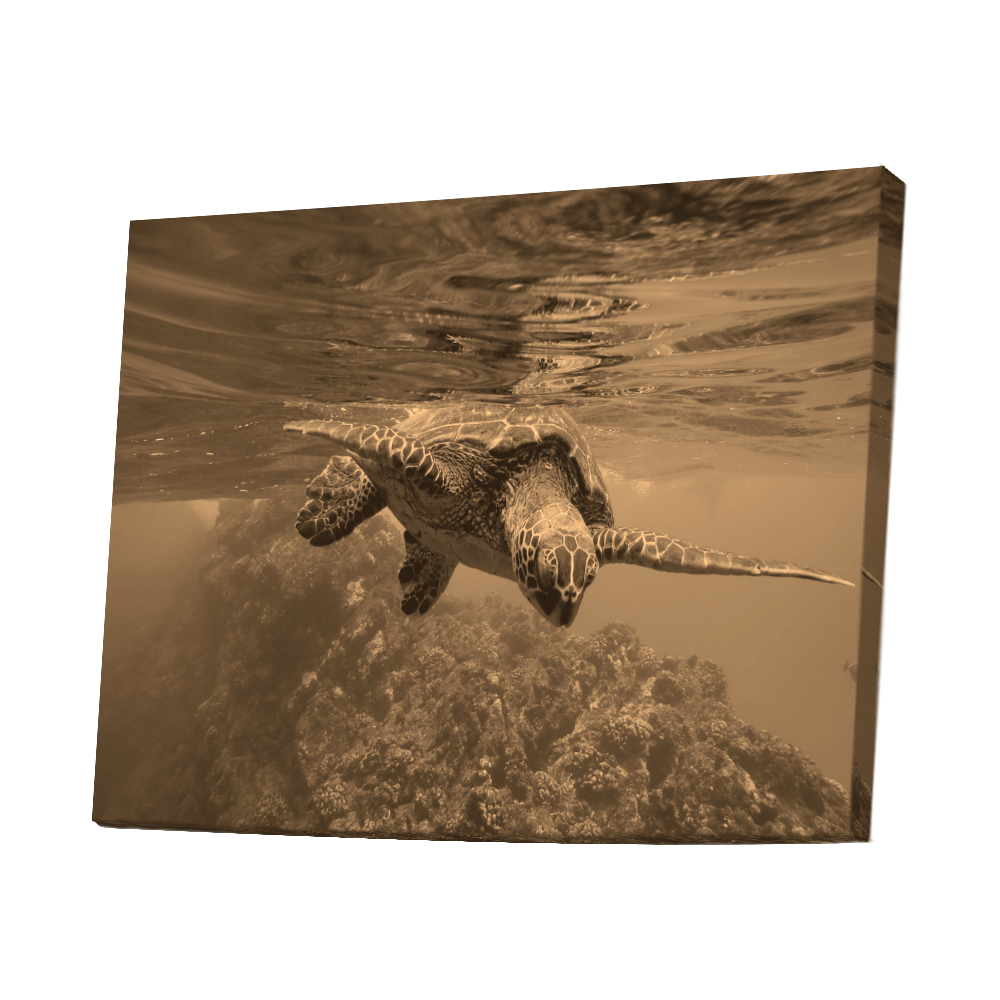 sepia canvas