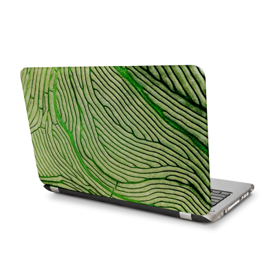 Standaard ontwerp laptop stickers