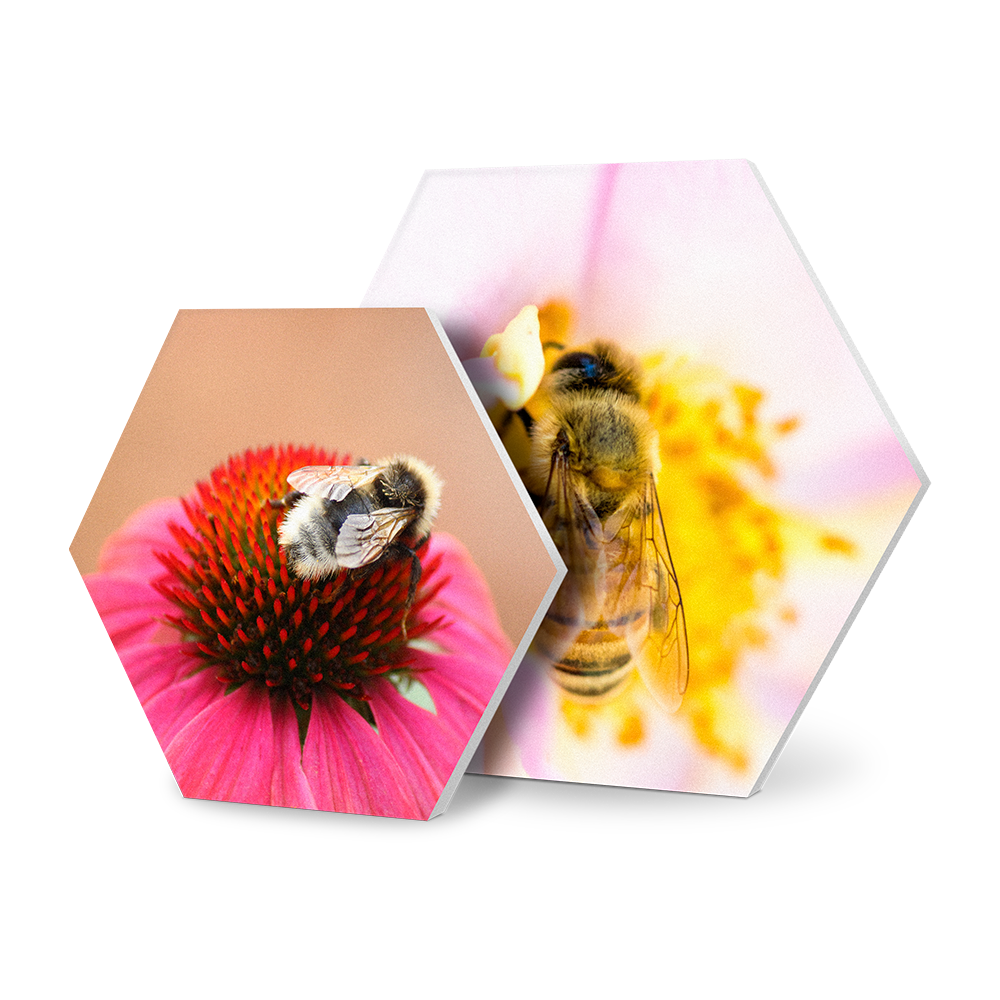 hexagons